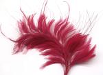 15x30CM Burnt Coque And Hackle Feather Mounts Flower Feather Headwear