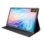 250cd/M2 Portable Touch Monitor