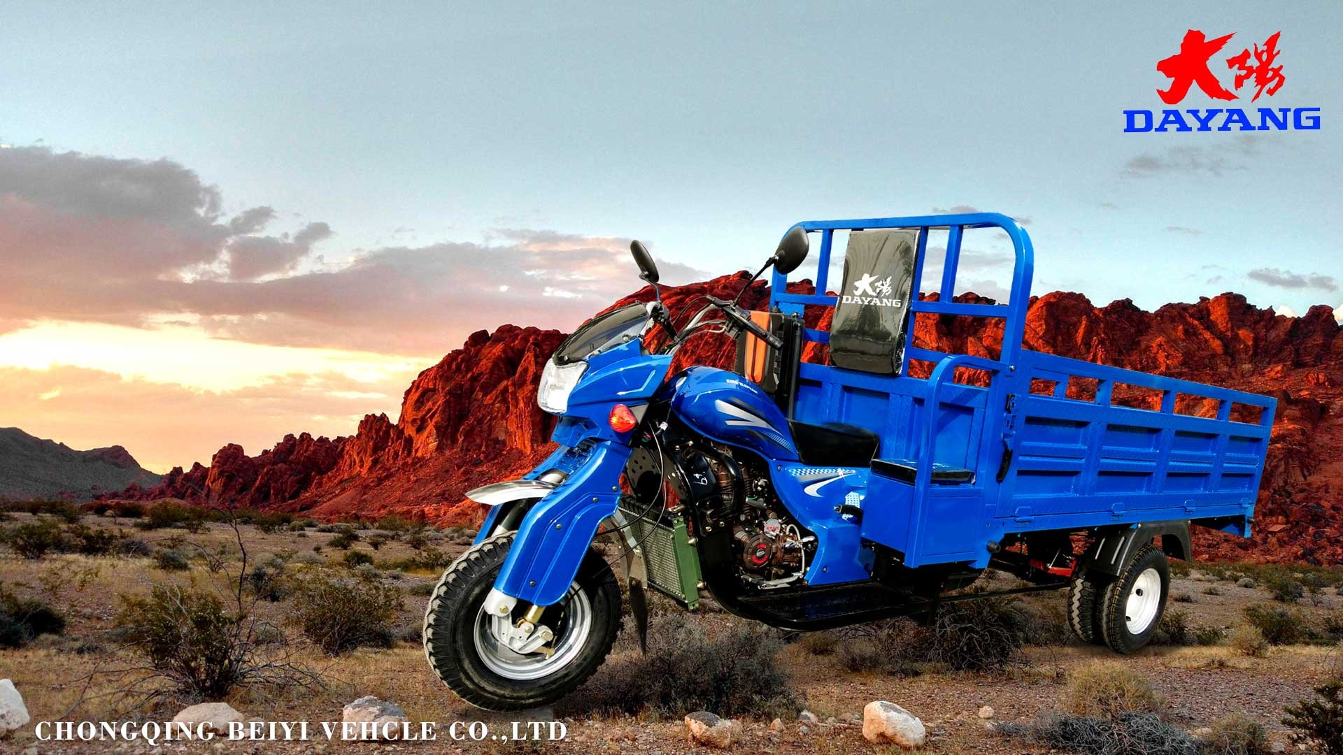 Water Cooled Engine 200CC/250CC/300CC Heavy Loading Trike Three Wheel Motorcycle Made
