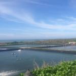 Waterproofing Fish Farm Pond with 100% Virgin HDPE Geomembrane in Industrial
