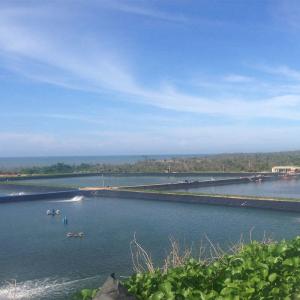 Quality Waterproofing Fish Farm Pond with 100% Virgin HDPE Geomembrane in Industrial Design wholesale