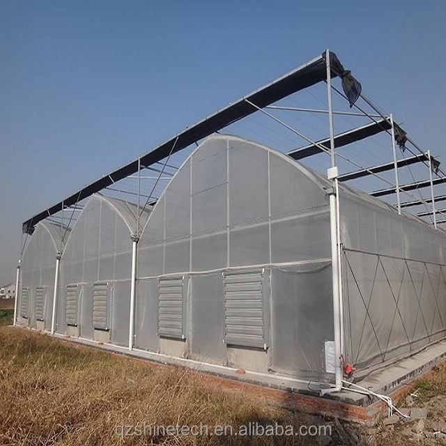Easy Assembled Tomato Agricultural Kit Frame Greenhouse With Super Strong Resistance