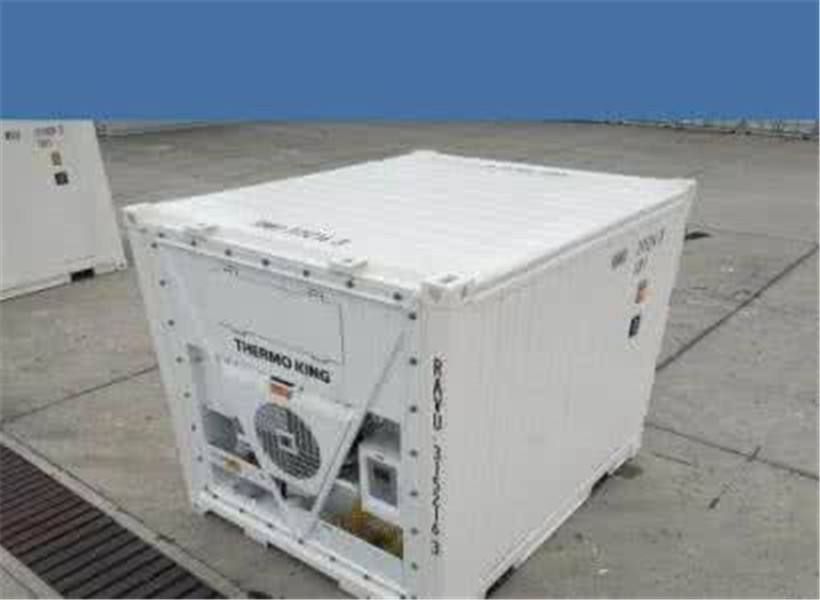 Metal Used Reefer Container / 20 Foot Refrigerated Container