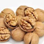Packing Way Walnut Carton for Your Business Needs