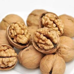 Quality Walnut Halves and Pieces Grown Walnuts Naturally Gluten Free No Preservatives Non-GMO Paper shell walnut 185 wholesale