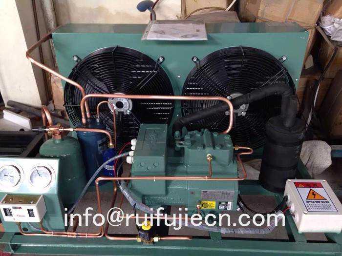 Unit-SPB06KL Air Cooled Condenser Compressor Condensing for Model 4CES-6Y 4CC-6.2Y