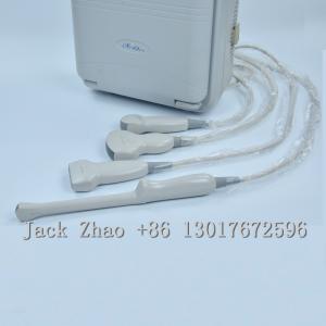 Quality Hospital Equipment Ultrasound System Machine for Bedside wholesale