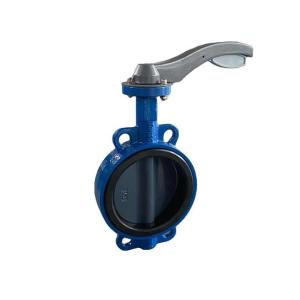 Quality Cast Iron Lug Type Valve Butterfly Valve PN10 DIN3202 Custom wholesale