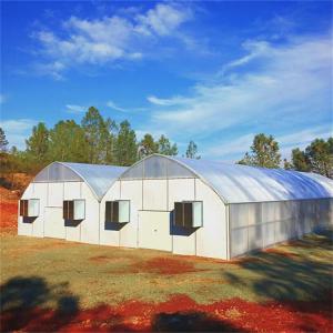 Quality Mushroom Multispan Curtain Automatic Blackout Greenhouse Blinds Gutter Connected wholesale