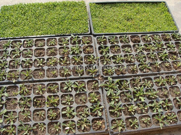 Seeds Onion Tomato Carrot Vegetable Seedling Tray Seeder for Nursery Planting Machine