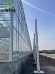 Customized Request for Commercial Greenhouse Tomato Cucumber Lettuce Glasshouse