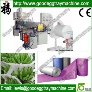 Quality epe series butane foam film/ sheet extruder wholesale