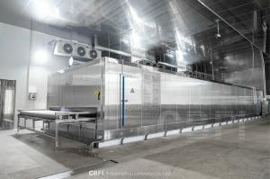 Quality Fish Fillet IQF Continous Individual Fast Freezing Machine Food Quick Tunnel Equipment wholesale