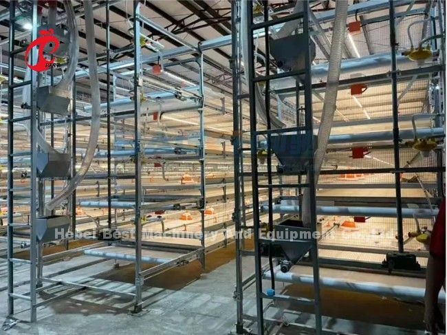 Cheap Type Hot Dip Layer Cages Cameroon Chicken Farm Poultry Layer Cages For Sell Adela