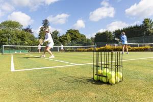 Quality Leisure Synthetic Ground Lawn Football Fields Synthetic Lawn Grass Carpet wholesale
