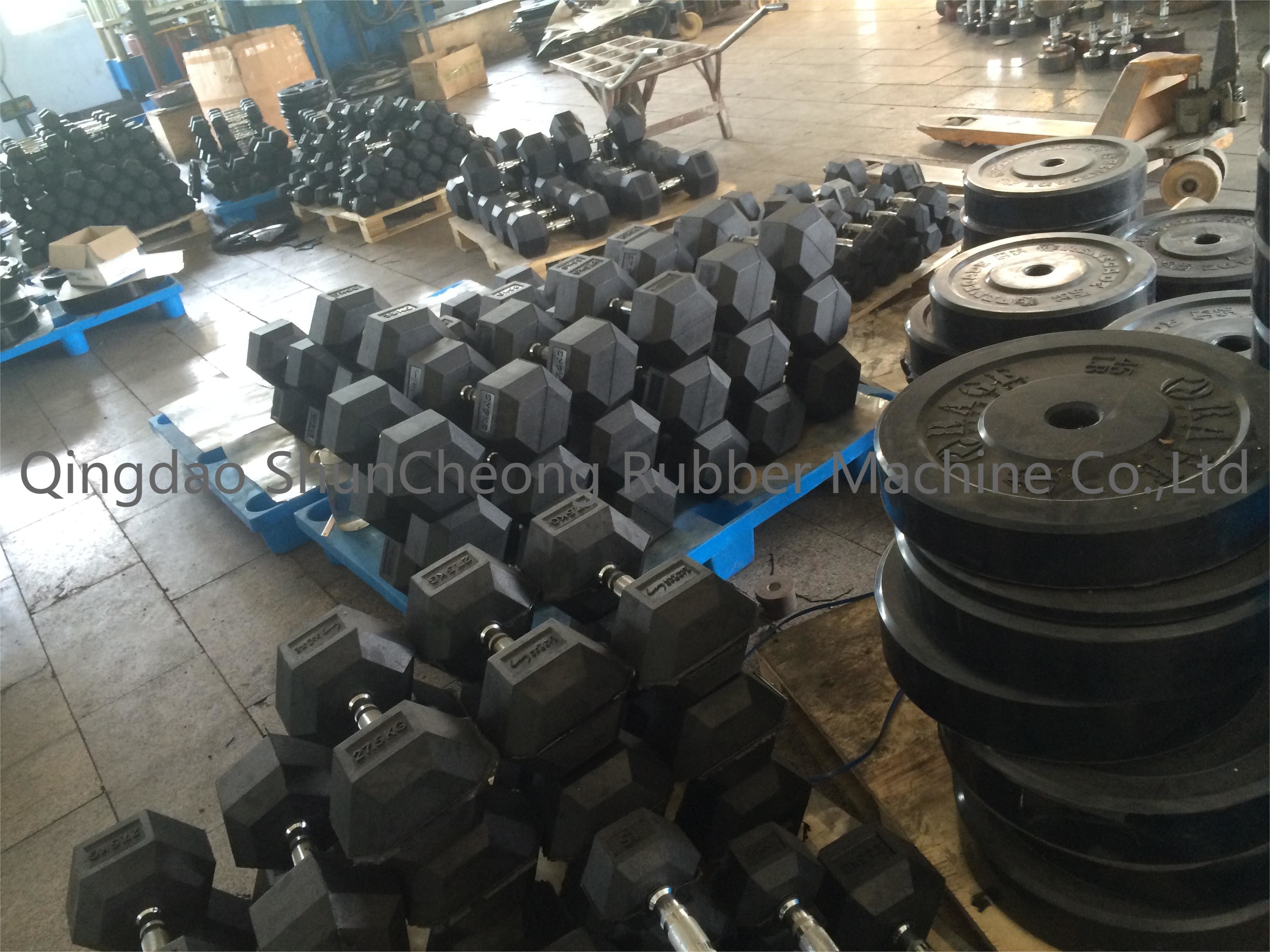 Easy To Operate Plate Rubber Dumbbell Tablet Vulcanizing Press
