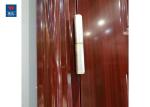 Home Painting Surface Fire Rated Double Steel Exterior Doors