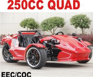 Quality 250cc EEC Trike Scooter for Adult wholesale