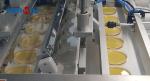 Efficient Petri Dish Filler - Filling Speed 4000-5000dishes/hour