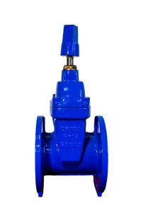 Quality Cast Iron F4 Gate Valve 4 Inch Gland Type ODM wholesale