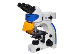 Quality UOP Upright Fluorescence Microscope , High Resolution Fluorescence Microscopy wholesale