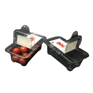 Quality PET Plastic Packaging Boxes Clamshell Plastic Containers Freshness Visible wholesale
