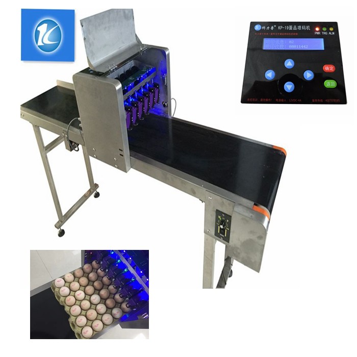 High Resolution Egg Marking Equipment , Edible Grade Quick Dry Ink Egg Printer