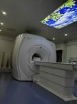 Rf Mri Faraday Cage Shielding Faraday Tents Radiofrequency For Pet medical