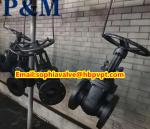 ANSI 125/150LB metal seal rising stem gate valve