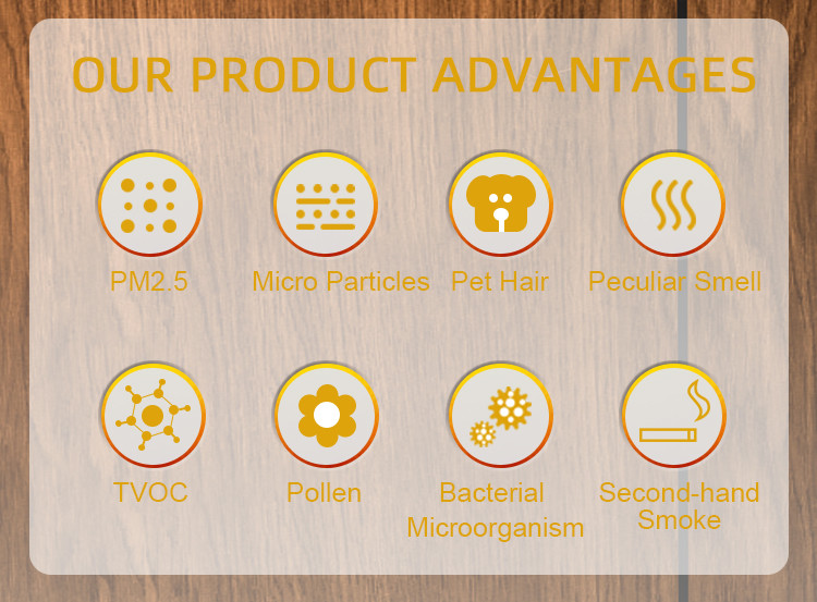 Anion Filter 24W 200M3/H Hepa Air Purifier Air Purifier