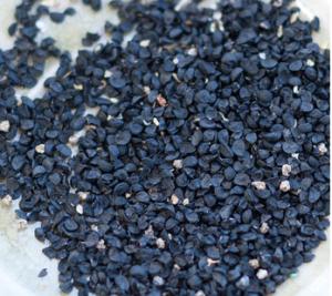 Quality High yield cold and disease resistant super green chinese onion seeds wholesale