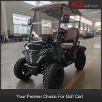 2 Seater Off Road Golf Cart Steel Frame Electric Vehicle 5kw AC Motor