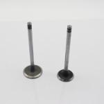 20798699 20798533 Diesel Engine Valve D6D D6E Intake Exhaust Valve For Volvo