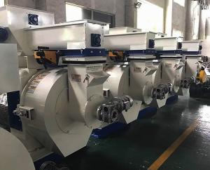 Quality Large 3t/H Wood Pellet Mill Machine 200KW Biomass Pellet Production Mill wholesale
