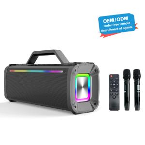 Quality Frequency Response 45Hz-20KHz Portable Wireless Karaoke Speaker for Outdoor Parties wholesale