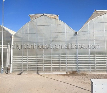 Film Covered Galvanized Greenhouse for Stable Structure and Vegetable Cultivation