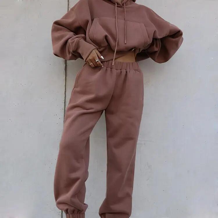 Autumn Winter Jogger Jumper Gym Workout Women Fall 2 Piece Set Crop Top Oversize Hoodie Tracksuits