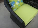 rattan sofa set