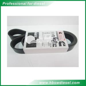 Quality QSM11 engine Belt V Ribbed 8PK1628 3103697 wholesale