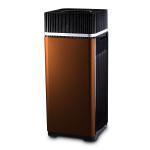 Professional Eco Friendly Anion Ion Air Purifier Stay Fresh Low Noise Air
