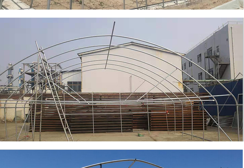 Commercial Film Covered Single Tunnel Greenhouse for Maximizing Agricultural Output