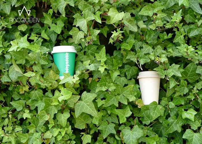 8 Oz / 10 Oz Single Wall Paper Takeaway Cups Convenient Leak Resistant