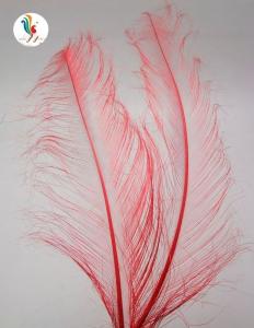 Quality FEDEX Shipping Feathers Millinery Supplies Burnt Ostrich Feathers 50-55cm Hat Decor wholesale