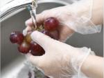 Durable Clear Non Latex Gloves / Disposable Food Preparation Gloves