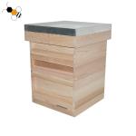 Antiseptic Thick 20mm Beeswax Foundations Bee Hive