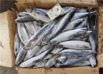 Scomber Japonicus Under 18 Degree 300g Fresh Frozen Mackerel