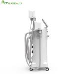 Whole Body Slimming Fat Freezing Physiotherapy Cryotherapy Facial Equipment
