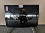 Bulletproof Tungsten Auto Glass Repair Sunroof Benz E W211 W212 W213 Panoramic