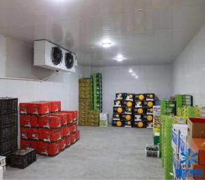 Quality 0 To -40℃  Frozen Seafood Freezer Cold Room With 100mm 150mm PU Panel wholesale