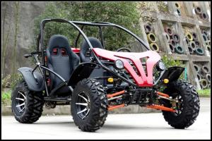 Quality 250cc Go Kart Dune Buggy Racing Kart For Adult With 2 Big Head Lights wholesale